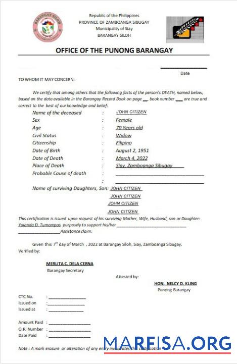 Realistic Philippines office of the Punong barangay certificate of death real example